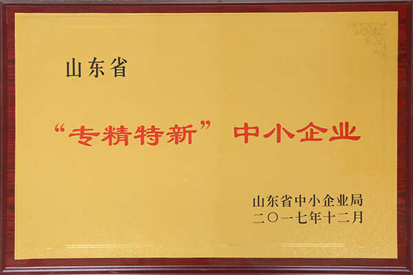 热烈祝贺我集团被评为山东省“专精特新”企业荣誉称号